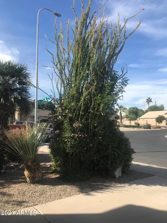 3924 E Yucca St Phoenix, AZ 85028 photo 3
