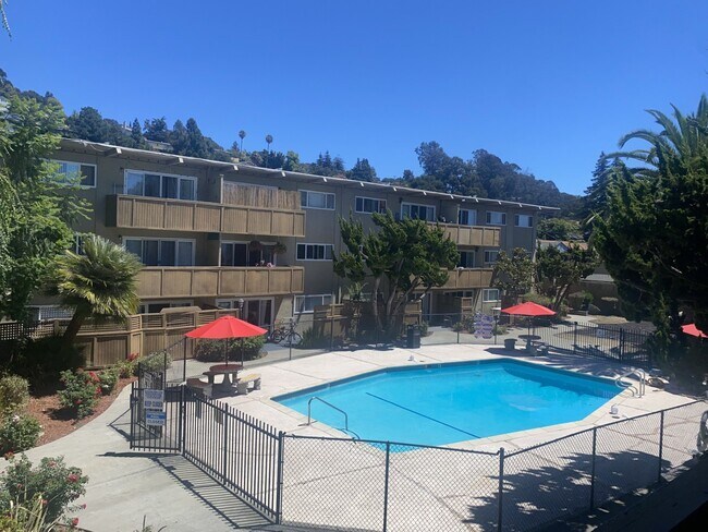 959 Torrano Ave Hayward, CA 94542 photo 2