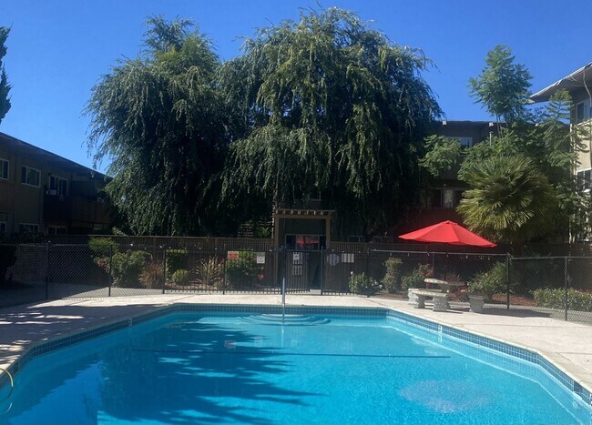 959 Torrano Ave Hayward, CA 94542 photo 3