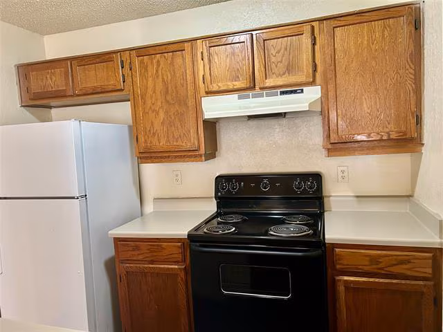 409 Crestline Dr Arlington, TX 76012 photo 4