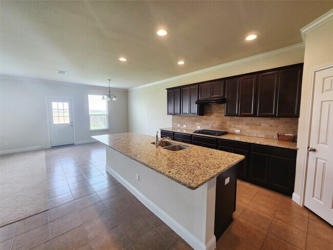 20028 Plough Shores Ln Pflugerville, TX 78660 photo 5