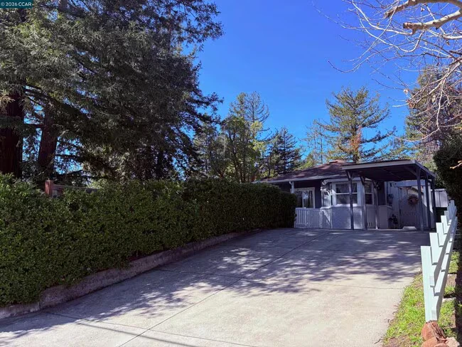 143 Pulido Rd Danville, CA 94526 photo 3
