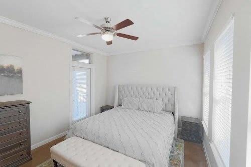 12205 N Lamar Blvd Austin, TX 78753 photo 4