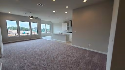 2100 Palmera Ridge Blvd Leander, TX 78641 photo 3