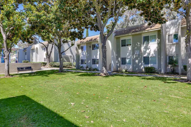 San Jose Greens photo 2