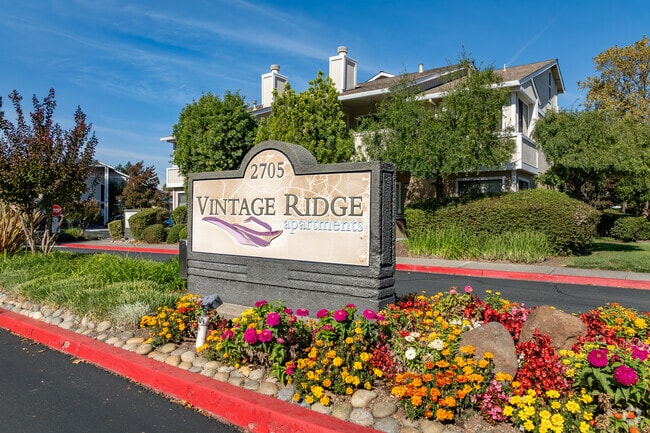 Vintage Ridge Apartment Homes photo 4
