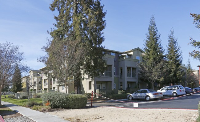 Oak Circle Apartments photo 4