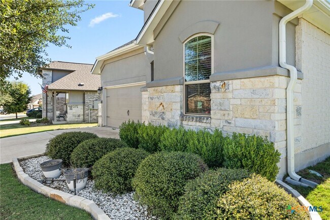 133 Spanish Foal Trail, Georgetown, TX 78626 photo 3