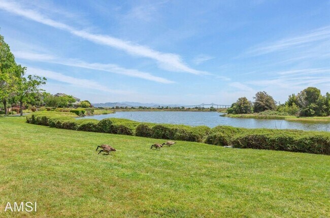 141 Nantucket Cove, San Rafael, CA 94901 photo 2