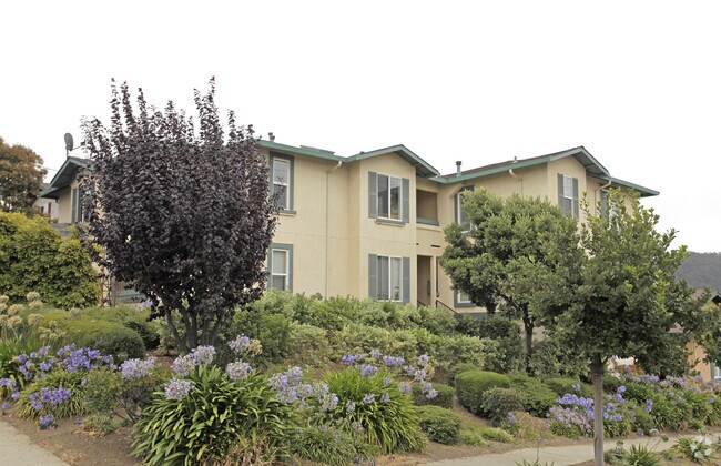 Sunset Vista Apartments photo 2