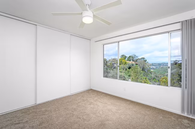Antone Apartments photo 5