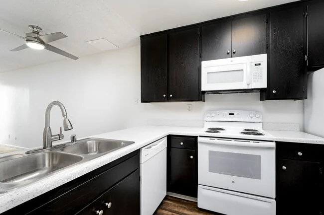 Antone Apartments photo 3