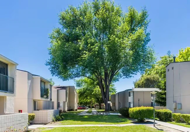 303 Checkers Dr San Jose, CA 95133 photo 5