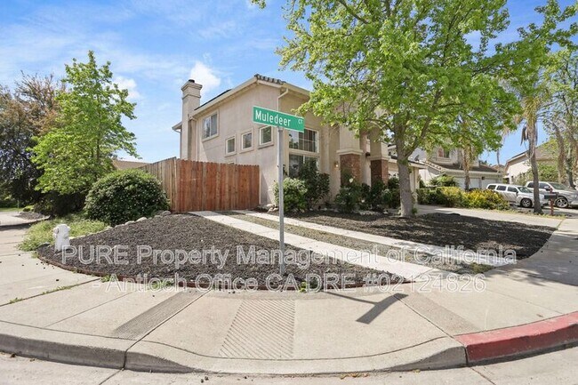 4520 Muledeer Ct photo 3