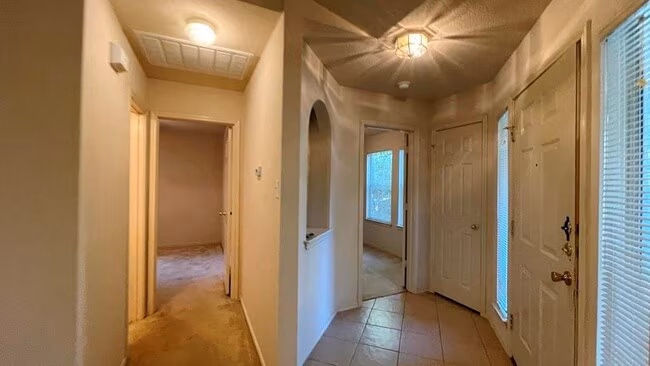 733 Hogan Kyle, TX 78640 photo 3