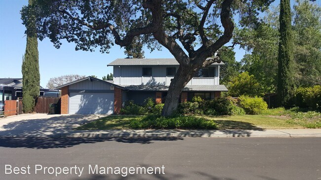 Beautiful house with amazing backyard photo 2