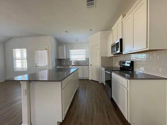 1009 Wolseley Cv Hutto, TX 78634 photo 4