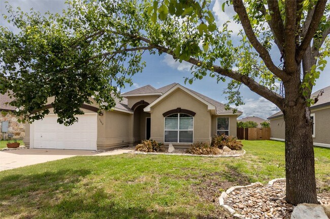 30412 Briarcrest Dr Georgetown, TX 78628 photo 2