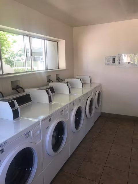 Coffeetree Apartments photo 4