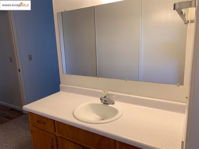 708 Solano Ave Albany, CA 94706 photo 4