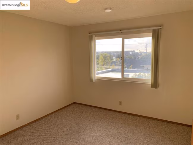 708 Solano Ave Albany, CA 94706 photo 5