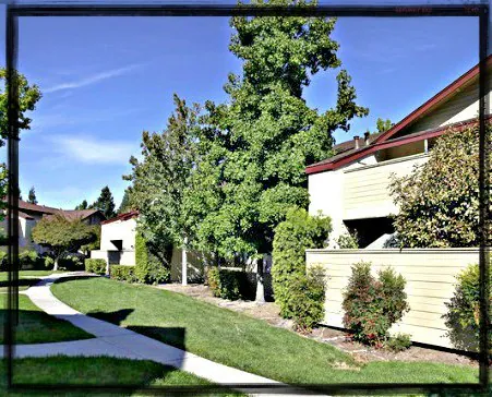Muir Park Condos photo 3