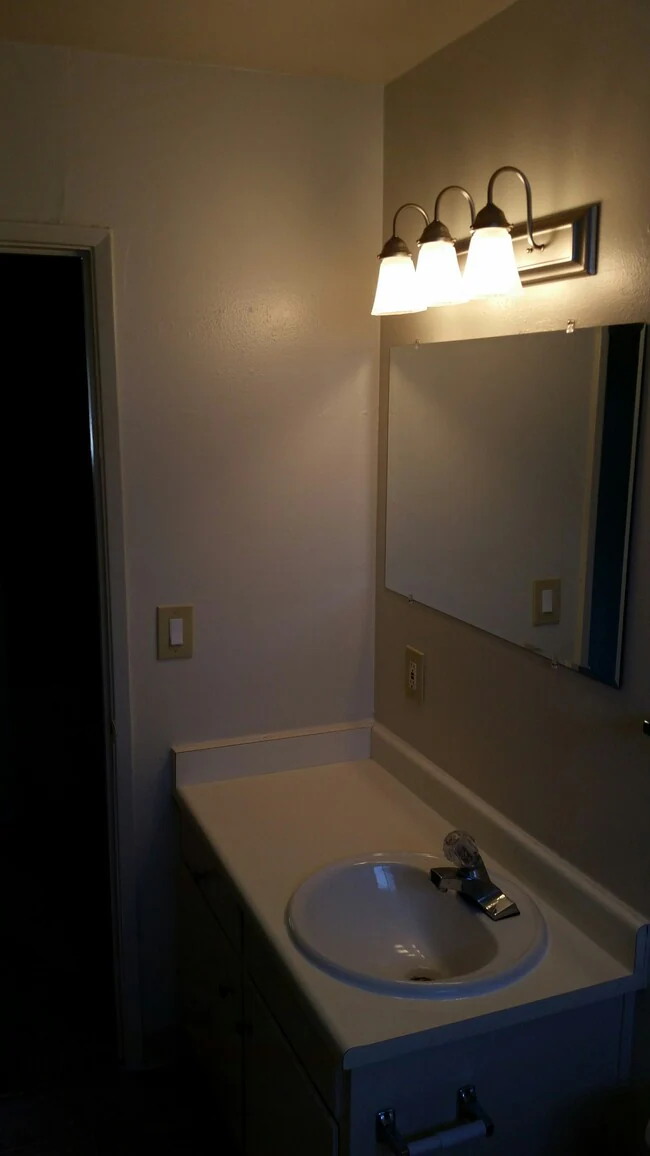 Pine Terrace Apartments photo 4