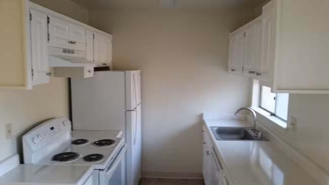 Pine Terrace Apartments photo 2