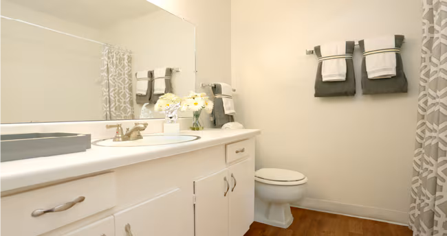 Plantation Apartments photo 4