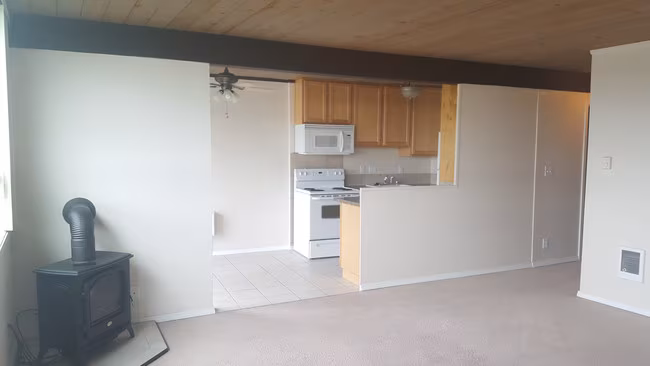 Olympic View Apartments photo 3