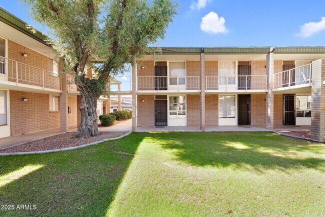 3737 E Turney Ave Phoenix, AZ 85018 photo 5