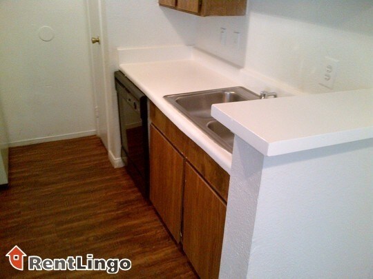 10300 Cypresswood Dr Houston, TX 77070 photo 3
