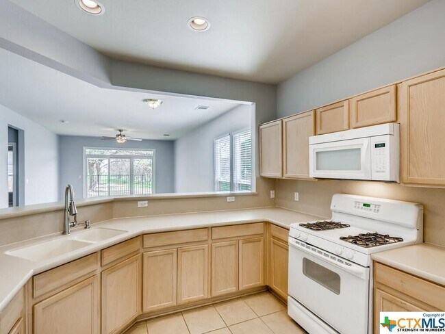 303 Bonham Loop Georgetown, TX 78633 photo 3