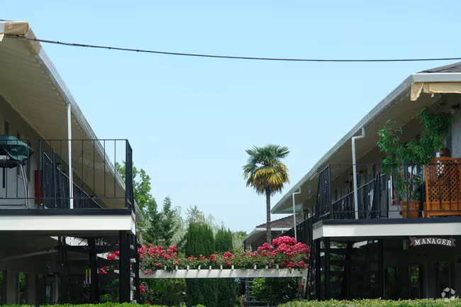 1BR/1BA Apartment on Blossom Hill Rd · San Jose photo 4