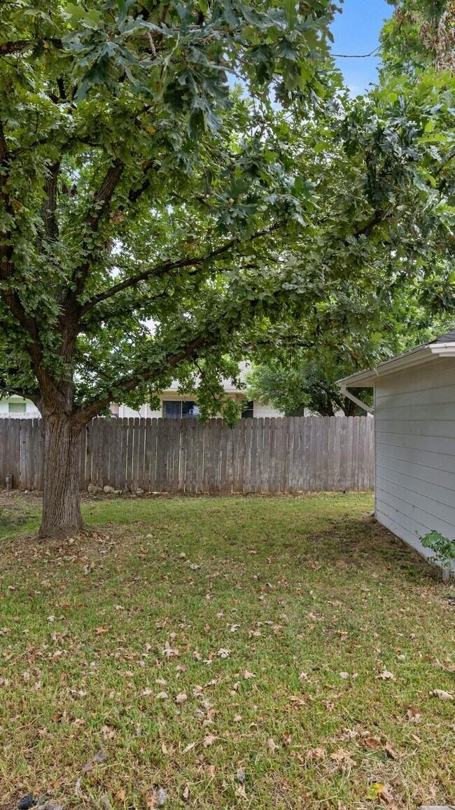 3809 Haleys Way Round Rock, TX 78665 photo 2