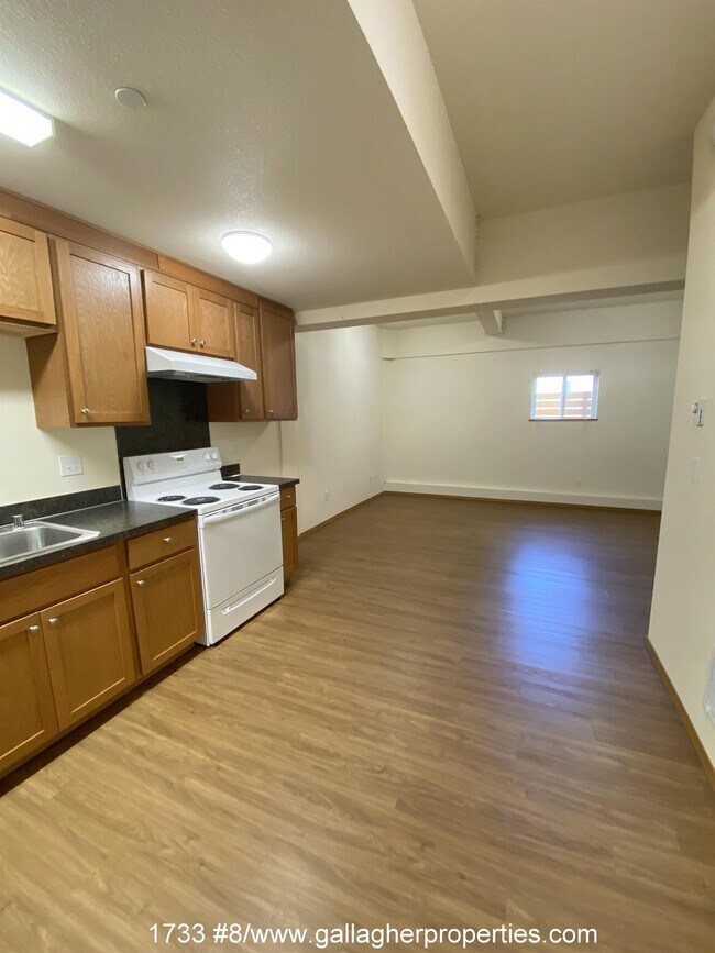 1733 - 9 photo 3