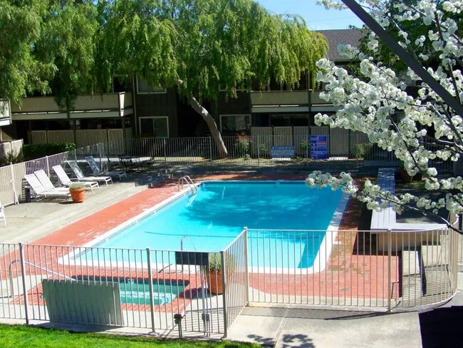 Latham Square photo 5