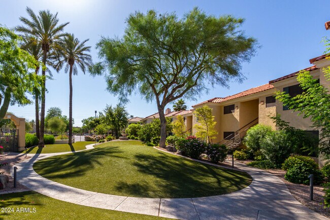 9990 N Scottsdale Rd Paradise Valley, AZ 85253 photo 5