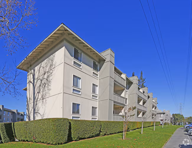 Springwood Apartments photo 3