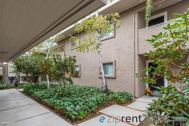 675 Sharon Park Dr photo 2