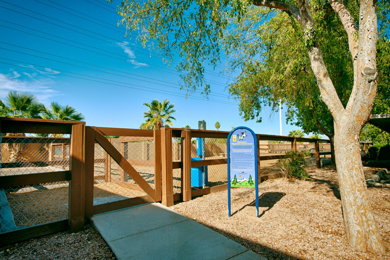 Avana Tempe photo 5