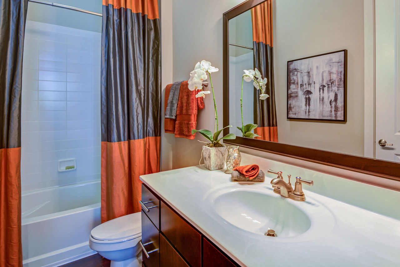 Whitehall Parc Apartment Homes photo 5