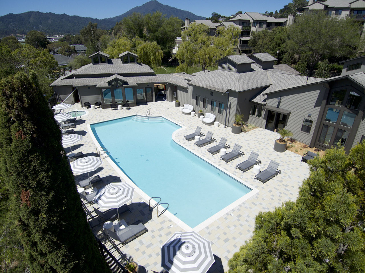 Larkspur Courts photo 3