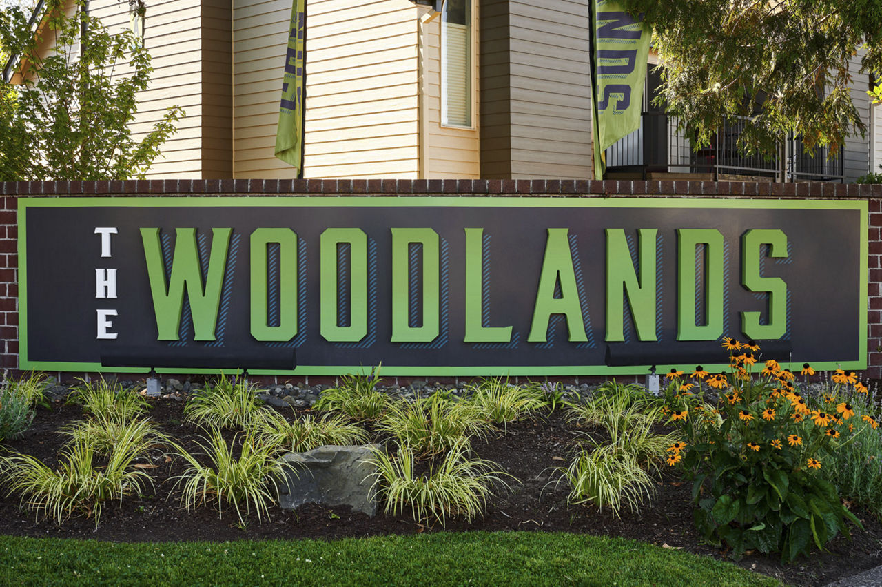 The Woodlands photo 4
