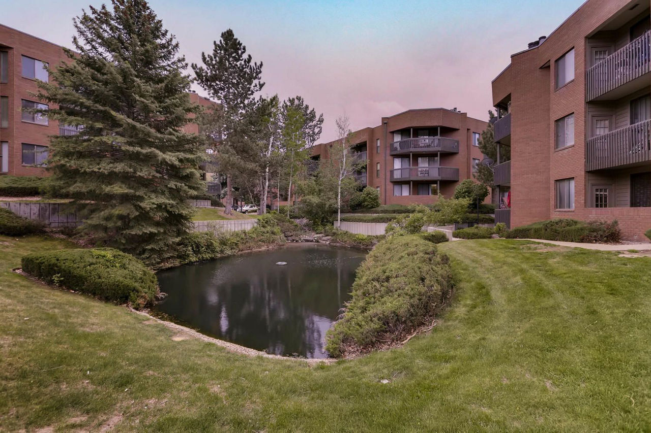 Alta Springs Apartments photo 2