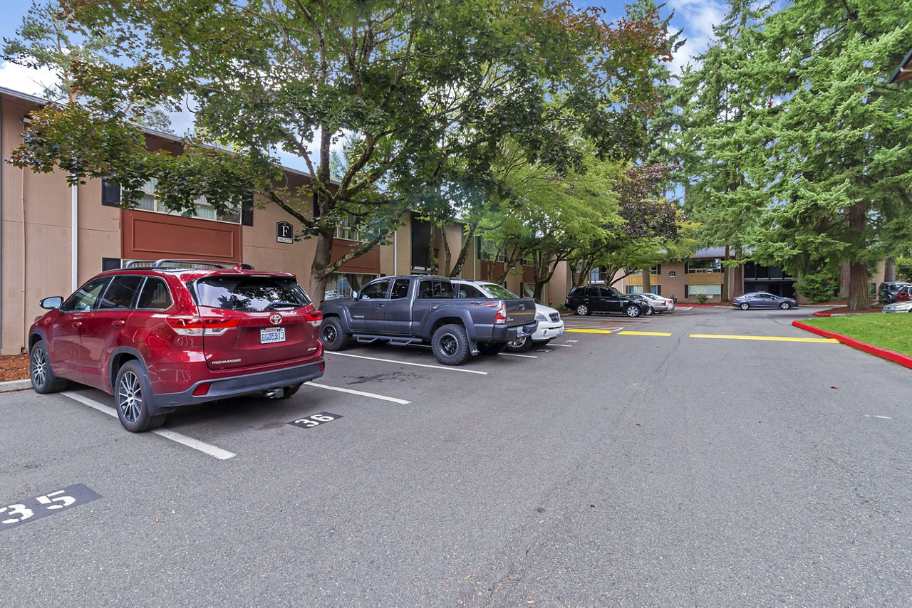 Bellepark East Apartments photo 3