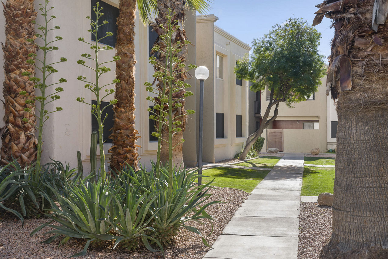 The Cortesian Apartments photo 4