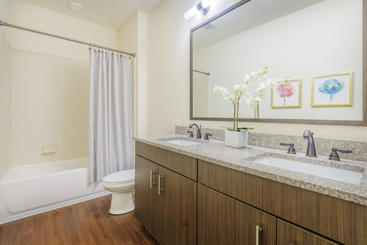 M Station Apartments photo 5