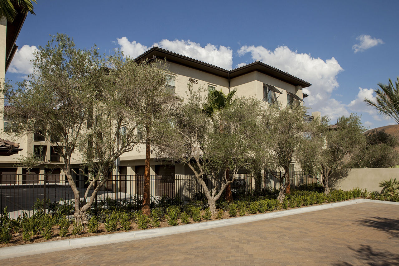 Encanto Apartments photo 4