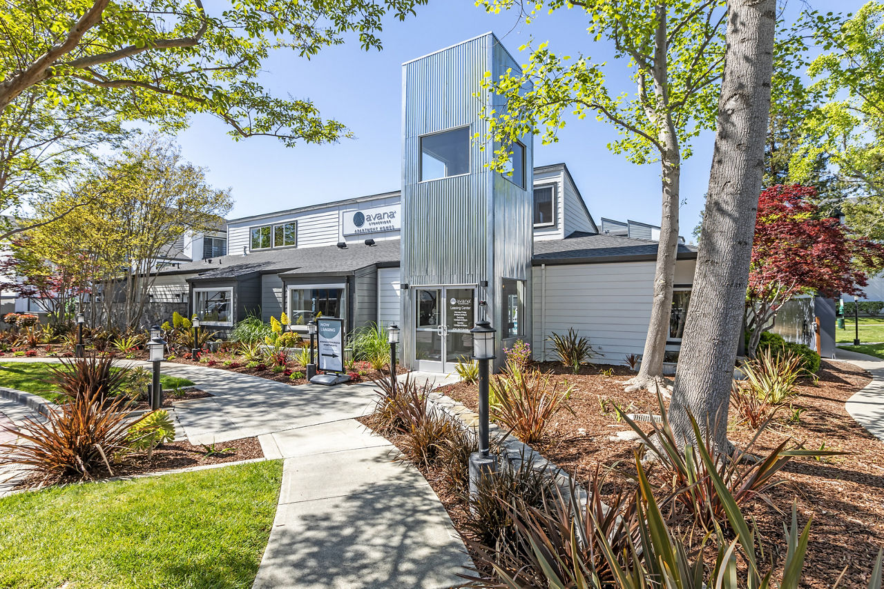Avana Stoneridge photo 2